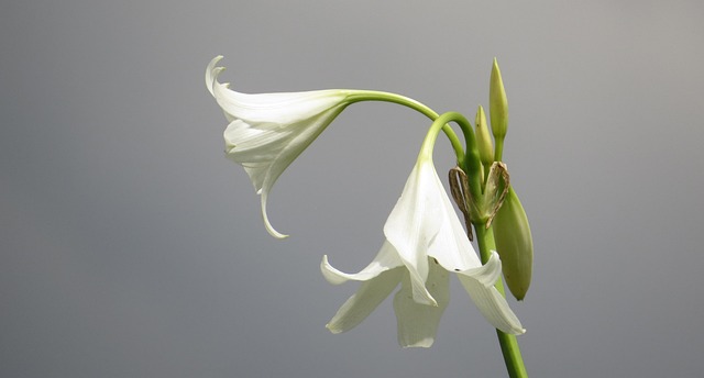 stock market sector performance heatmap showing technology healthcare energy sectors