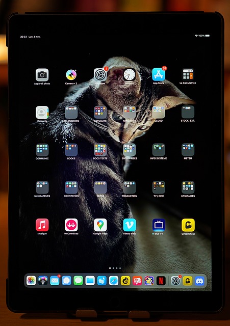 investor reviewing passive income portfolio performance on tablet device